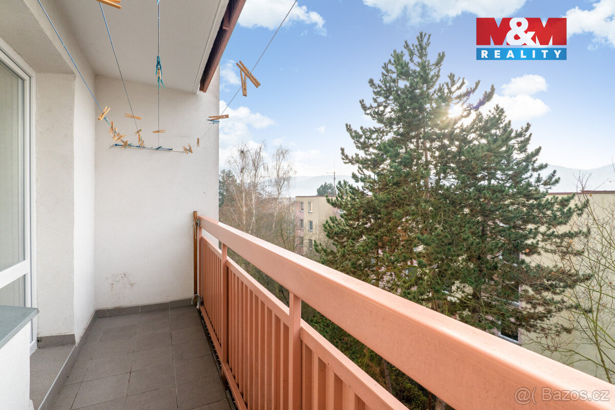 Prodej bytu 4+1, 89 m², Ústí nad Labem, ul. Anežky České - 8