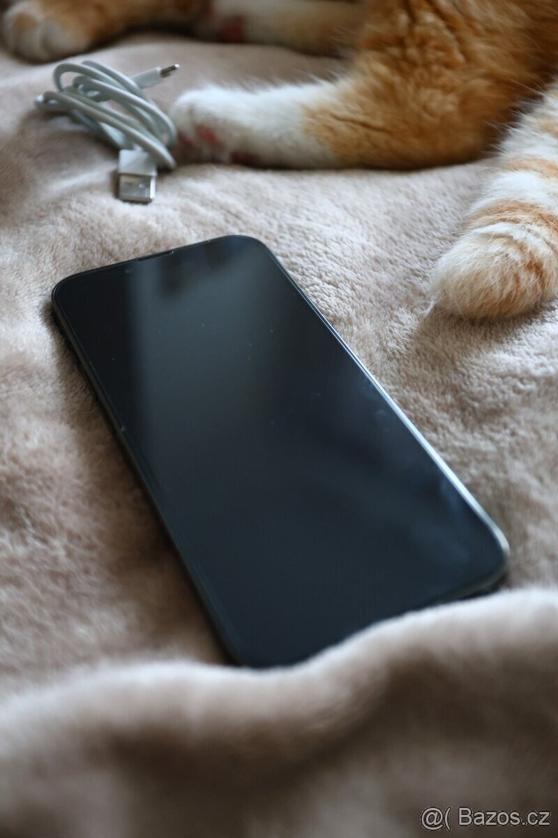 iPhone 13 Pro Alpsky Zelená 256GB - 8