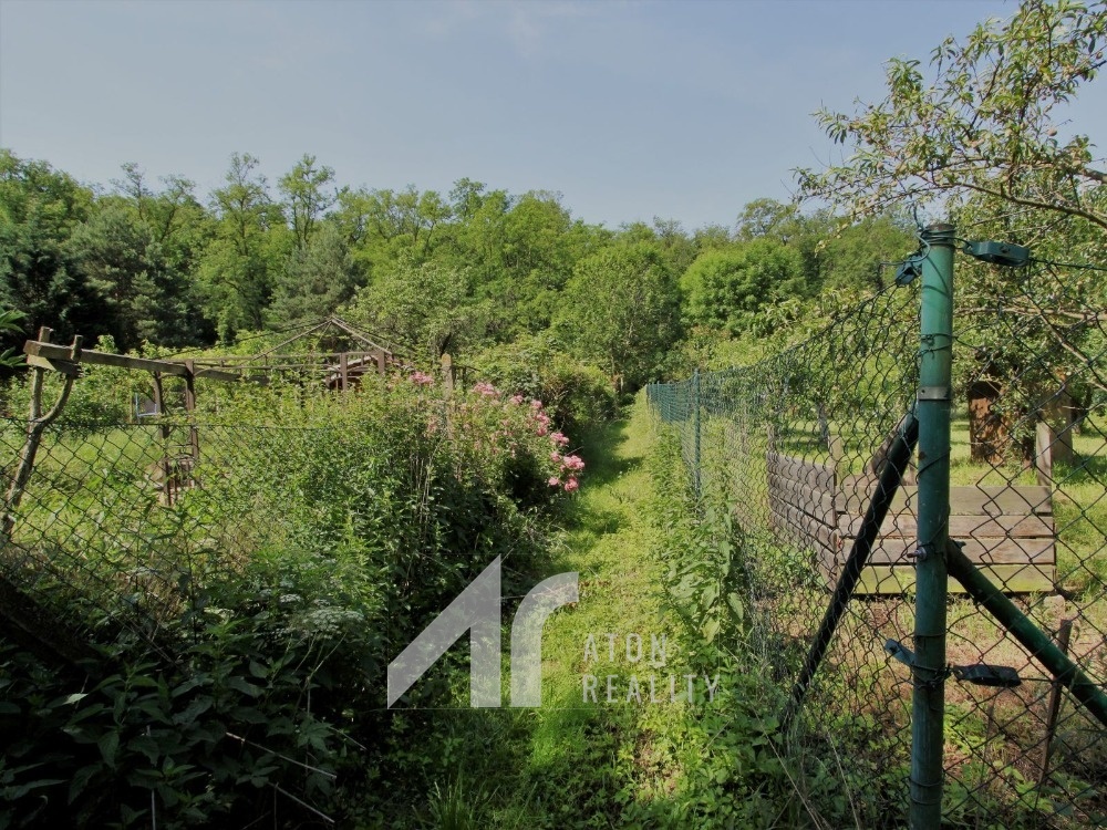 Dyje – zahrada 476 m2, oplocení, přípojka elektřiny – zahra - 8