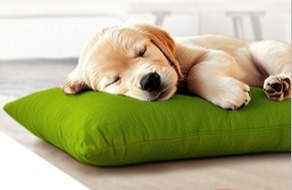 SNIŽTE SVÉ NÁKLADY NA ENERGIE - 8