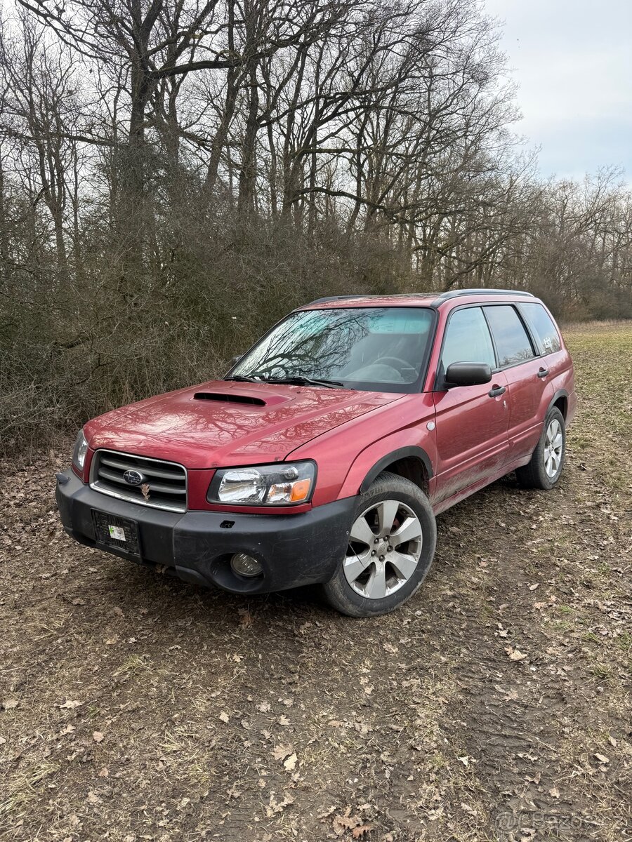 Subaru Forester sg 2004 světla - 8