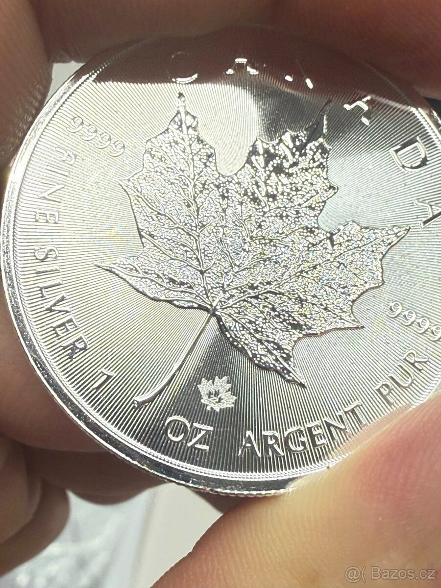 Stříbrná investiční mince Maple Leaf 1 oz - 8
