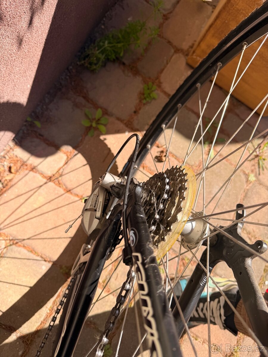 Kelly's phanatic - 8