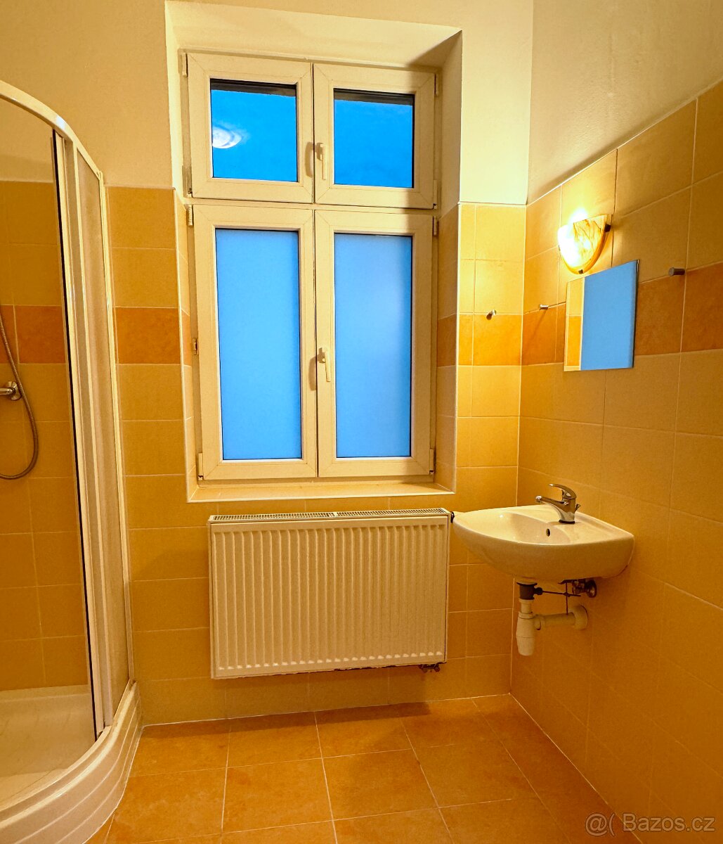 Pronájem bytu 1+kk, plocha 31,26 m2 - 8