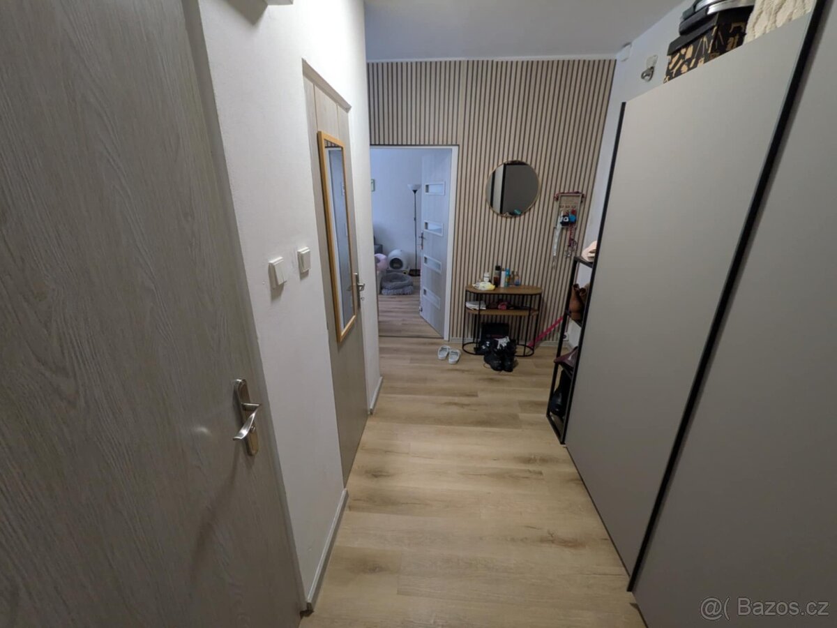 Prodej bytu 2+1 DV, ul. Vrchlického, Chomutov - 8