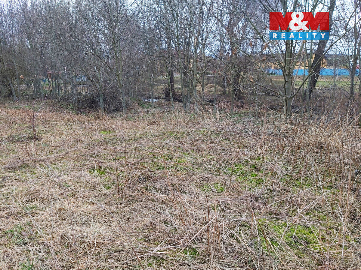 Prodej komerčního pozemku, 16303 m², Nezabylice - 8