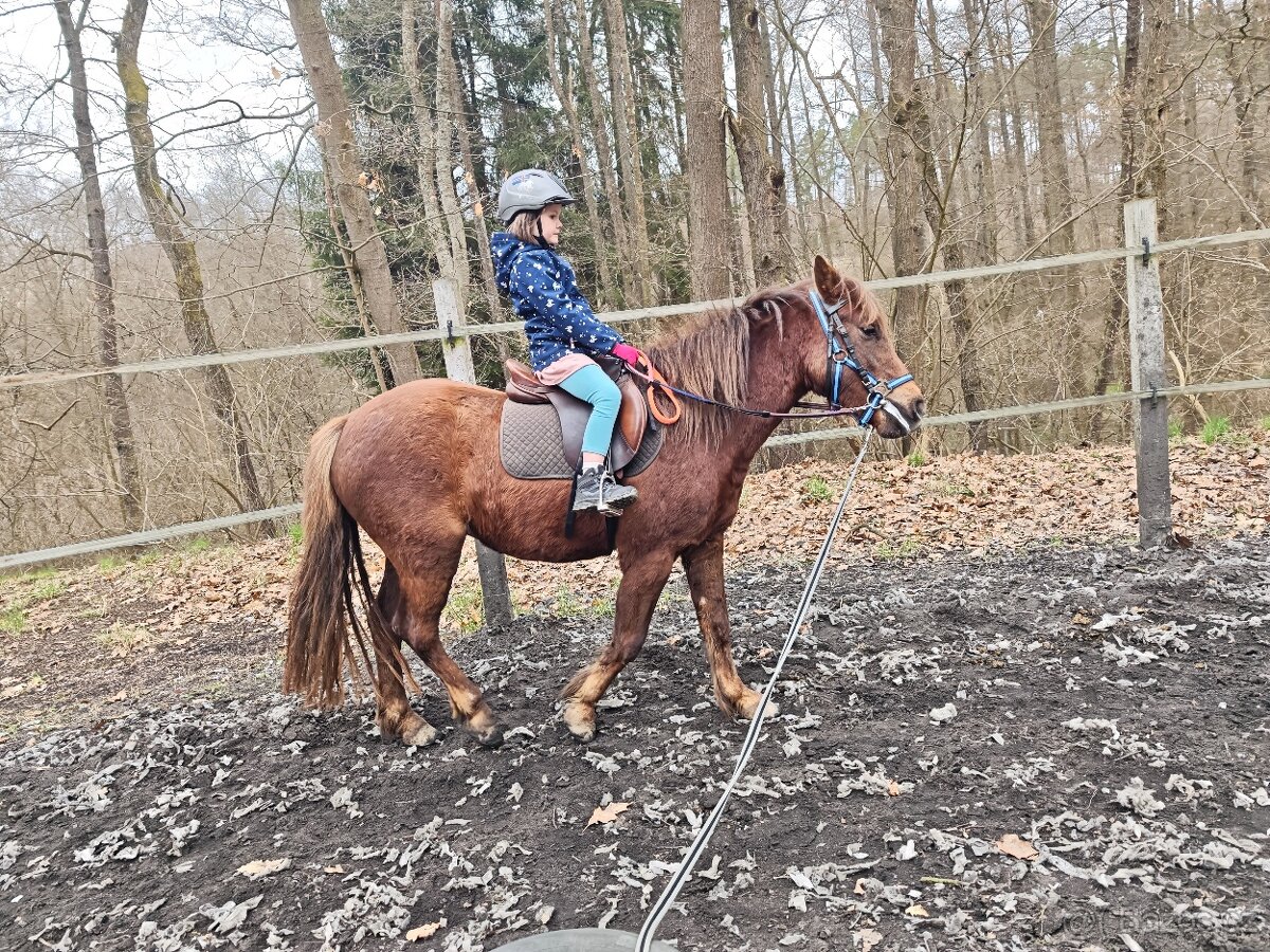 Školní pony - 8