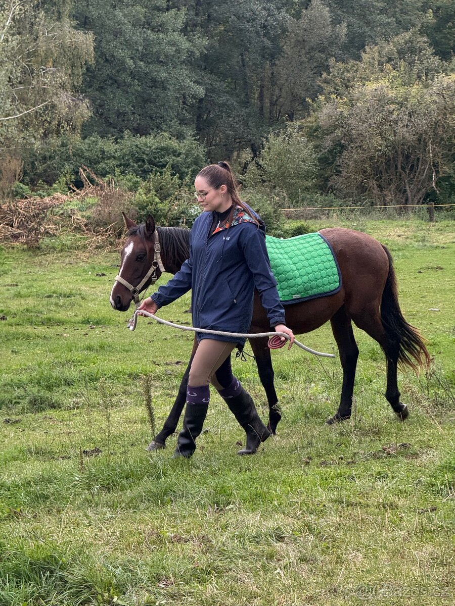 Úžasný hřebeček - 8