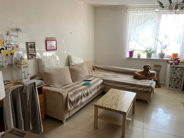 Prodej RD 6+kk Drnholec o 298 m2 před dokončením rekonstrukc - 8