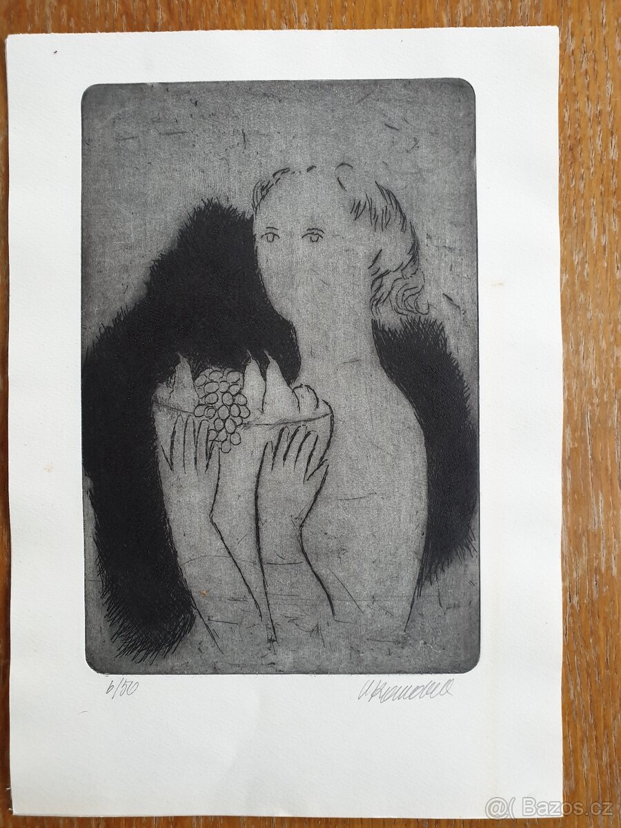 Prodám Starožitnosti obrazy,mapy,pohledy - 8