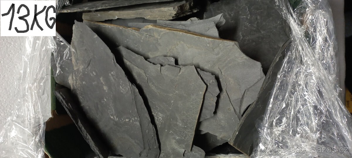 Akvarijní ryby,šneci,krevetky,rostliny - 8