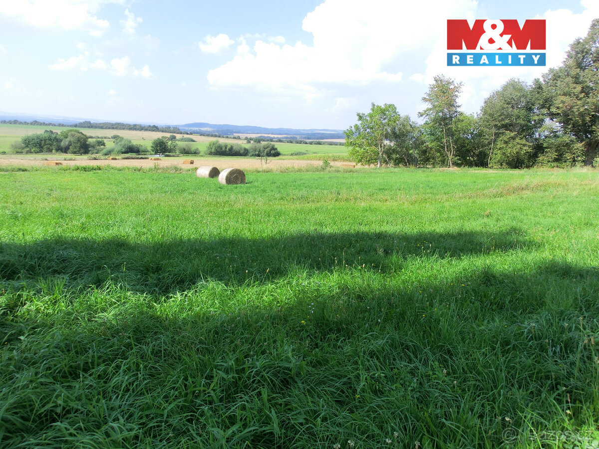 Prodej pozemku, 3885 m², Radenín - 8