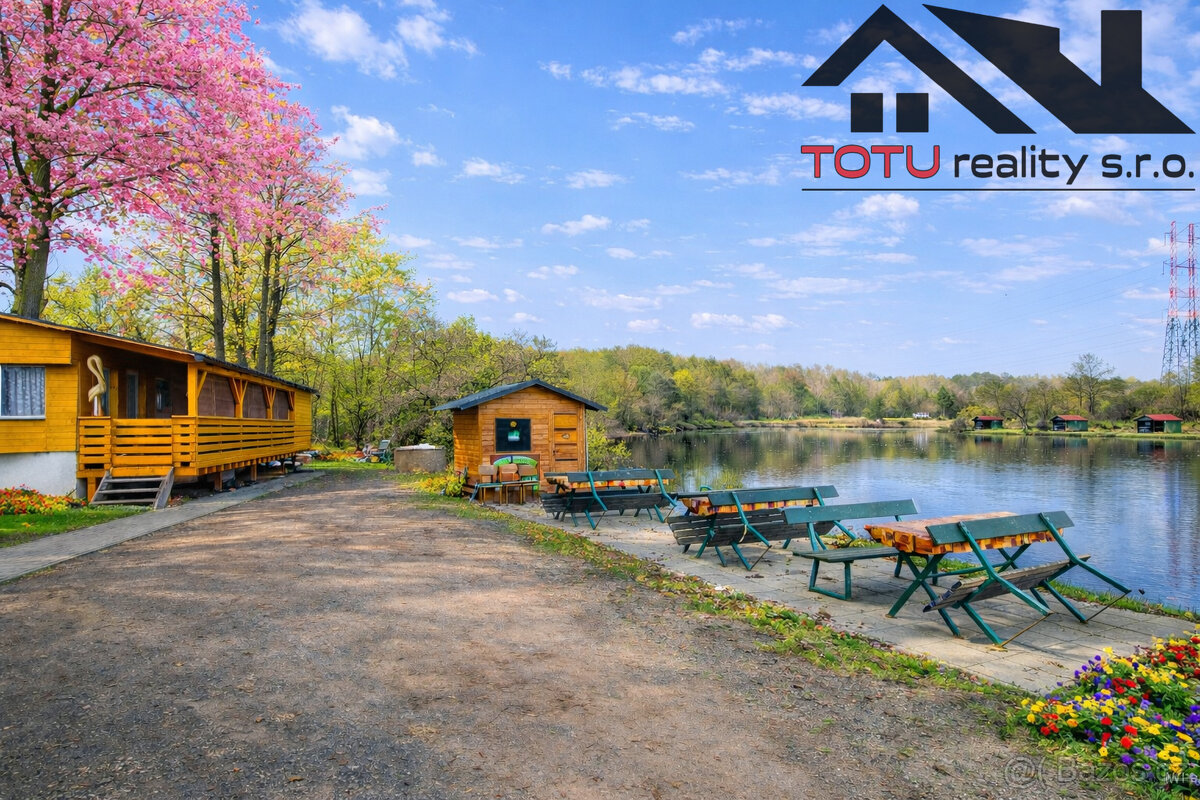 Prodej, rybník Velký Přelov, 44 772 m2, Černožice - 8