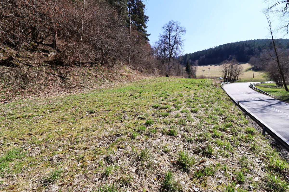 Komplex pozemků se staveb. potenciálem – Annín, Šumava - 8