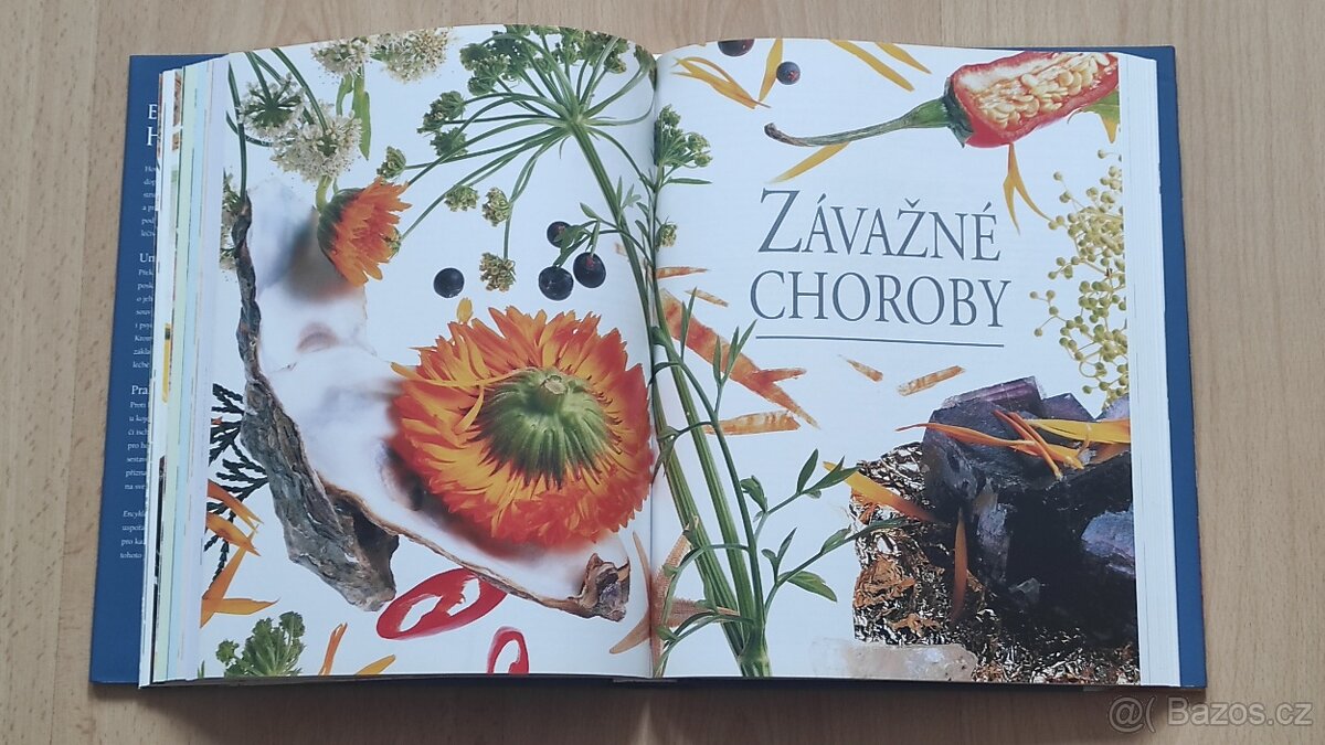 Knihy Koně , Kniha Encyklopedie Homeopatie - 8