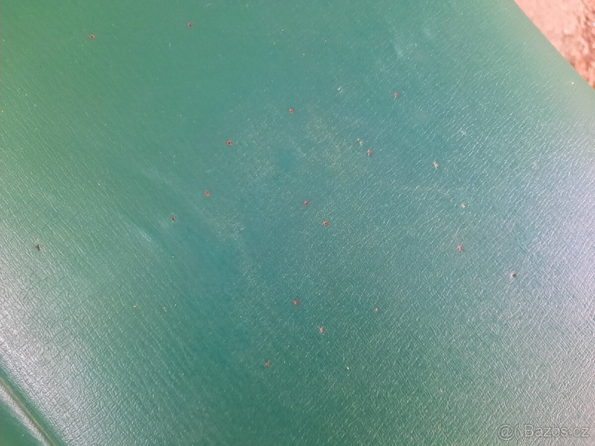 Prodám starý dětský kočárek Liberta - 8