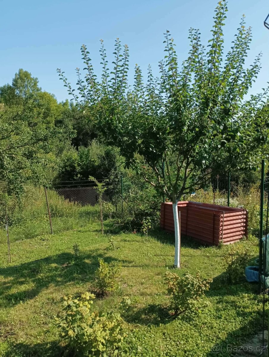 Prodej zahrady u Zlína - 8