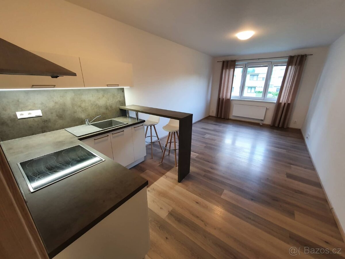 Olomouc Řepčín pronájem 1+kk - 8