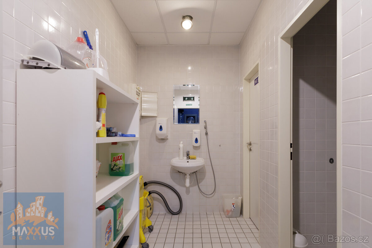 Pronájem obchodních prostor/showroomu (396,9 m2), SHOP PARK - 8