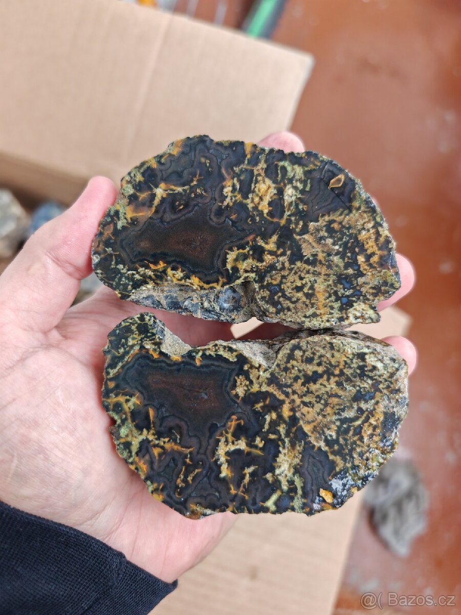 Acháty řezy Timor - 8