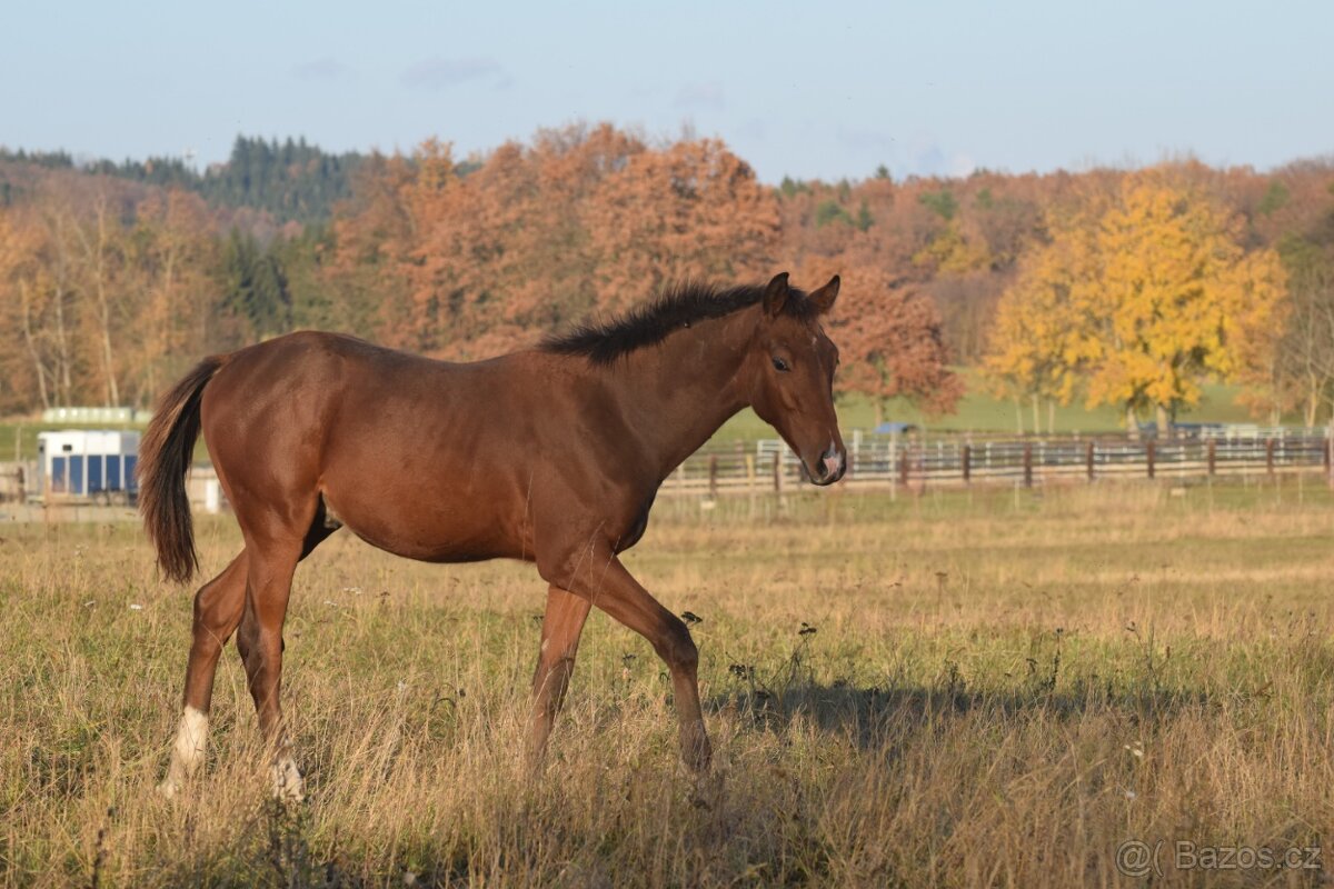 Tiebreak - letošní hřebeček - 8
