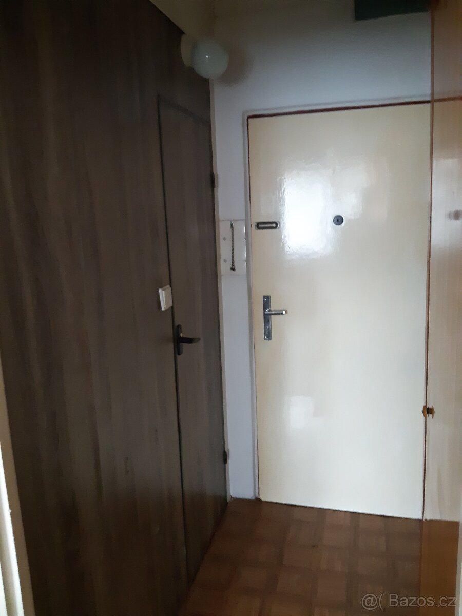 Pronájem bytu 1+kk - 8