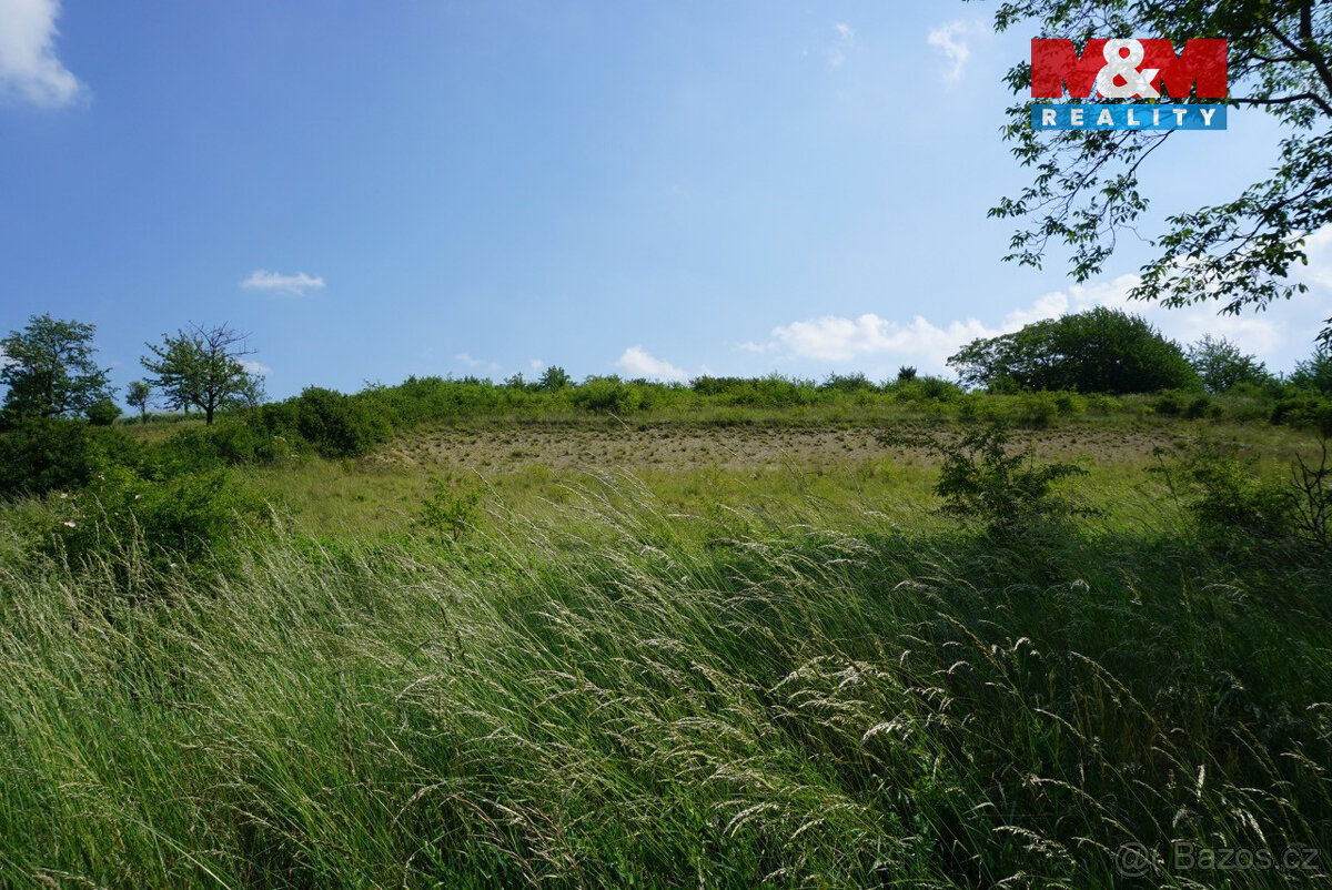 Prodej pozemku k bydlení, 5749 m², Sobětuchy - 8