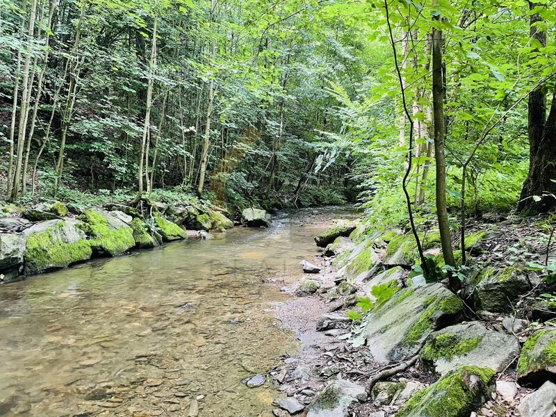 Prodej stavebního pozemku v krásné přírodní lokalitě – Oskav - 8