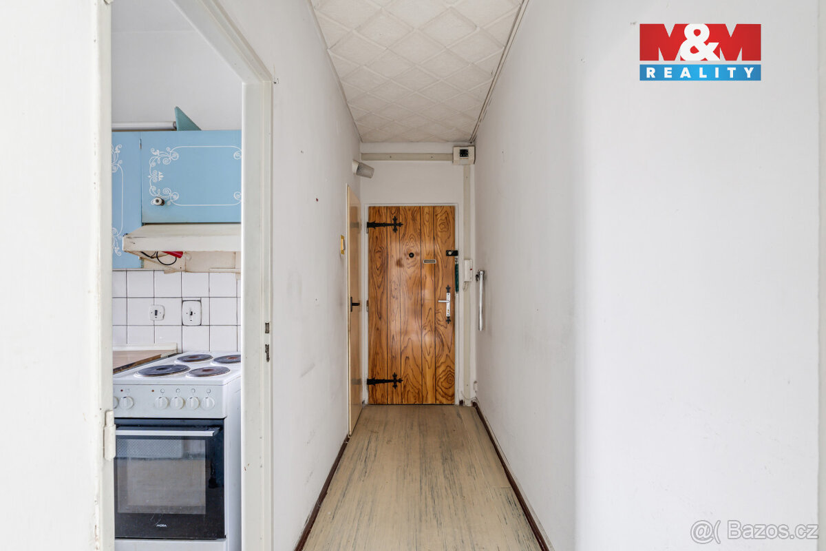 Prodej bytu 2+1 v Ústí nad Labem, ul. U Pivovarské zahrady - 8