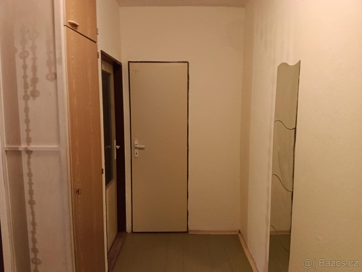 Pronajmu byt 1+1 - 8