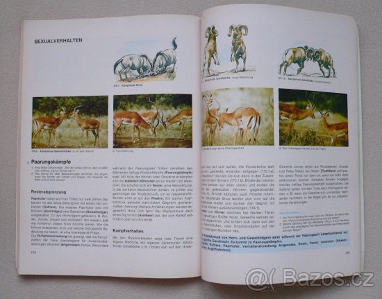 Německé učebnice pro ZŠ 3 - 5 ročník - 8