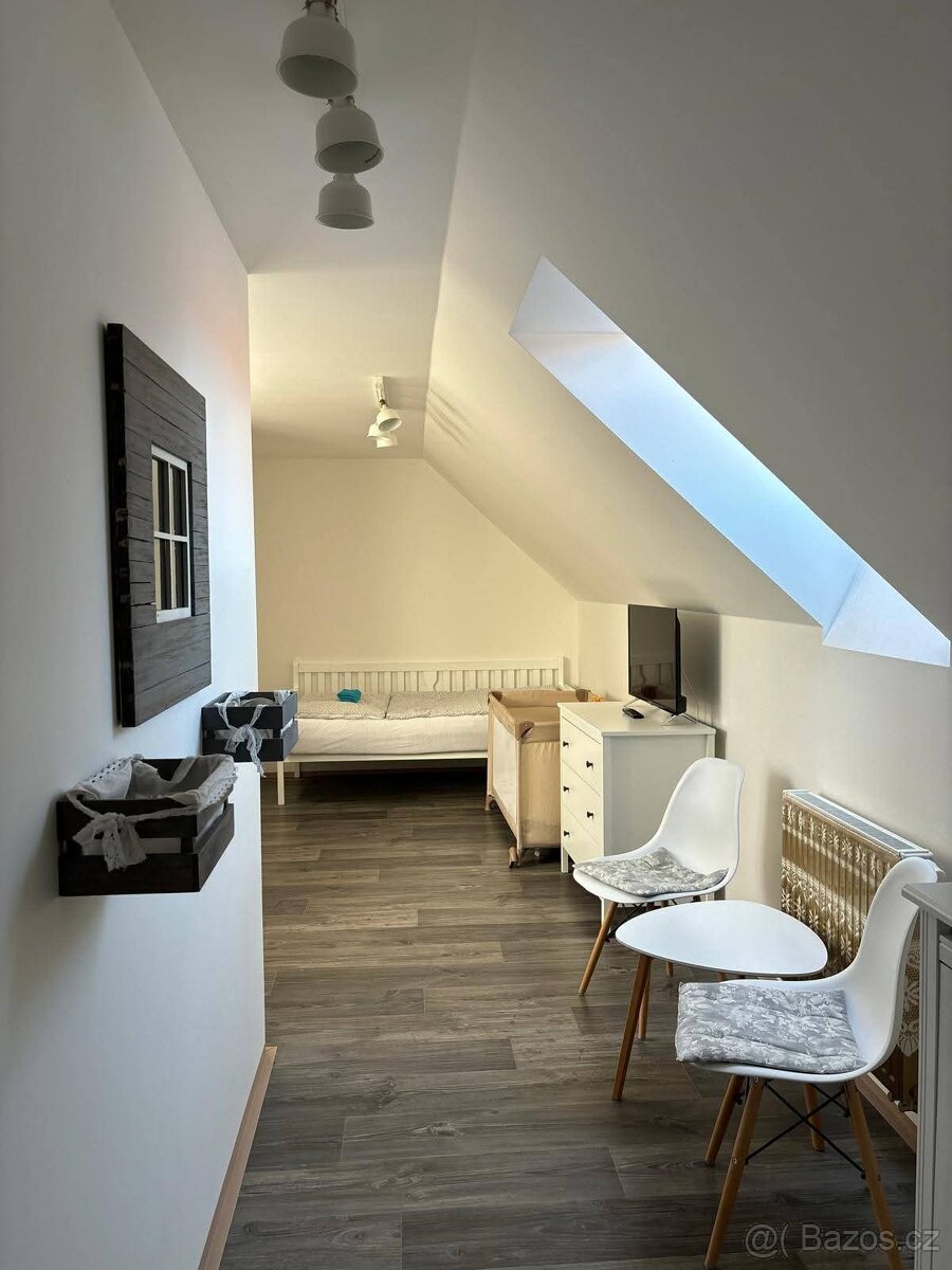 Pronájem bytu 2+1 70m - 8