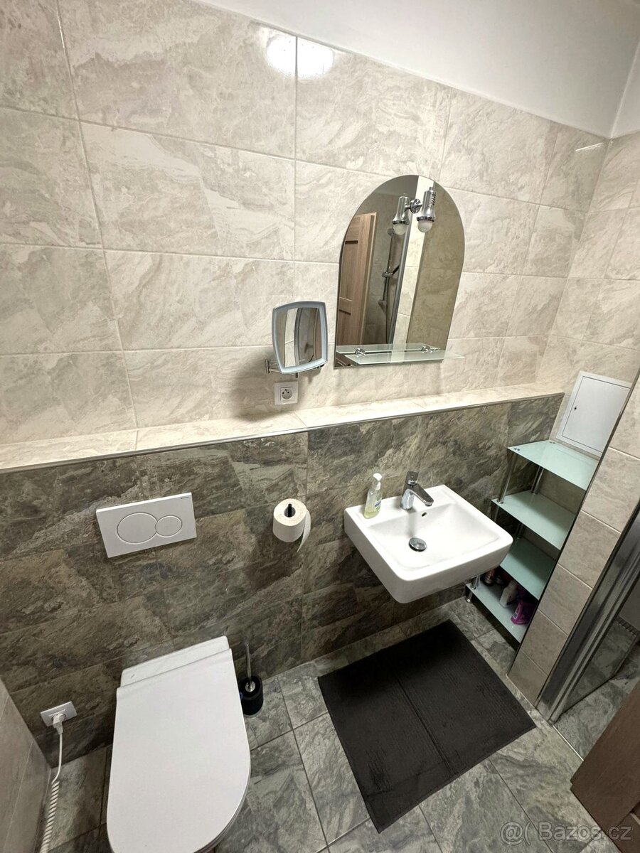 Pronájem bytu 2+kk Mikulov - 8