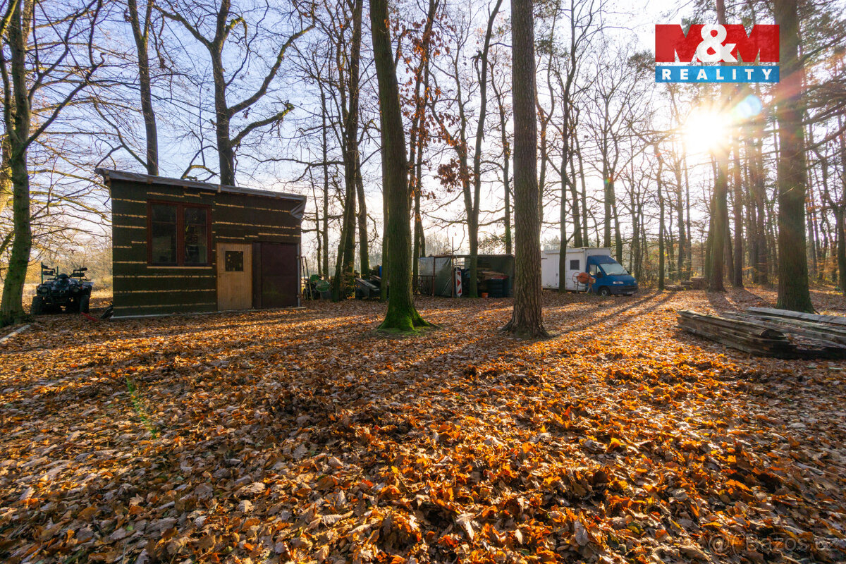 Prodej chaty, pozemek 12 745 m², Štěpánovsko - 8