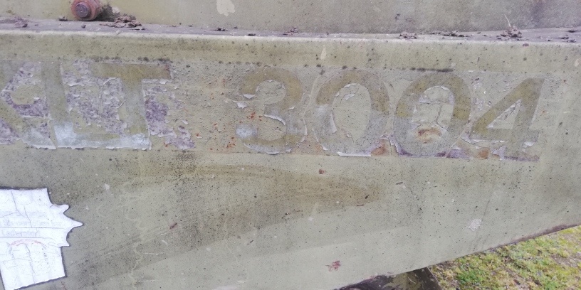 Senážní vůz BERGMANN - 8