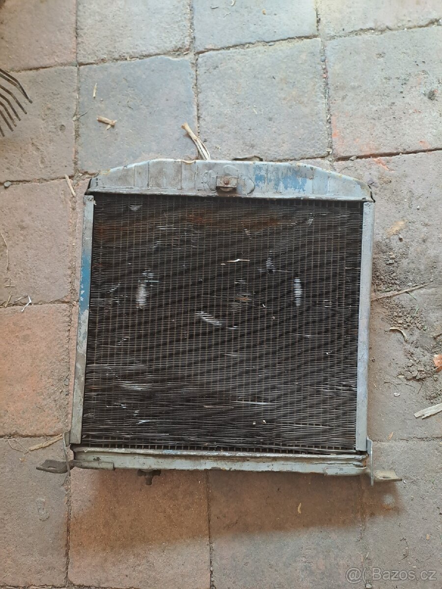 Felicia octavia spartak veterán - 8