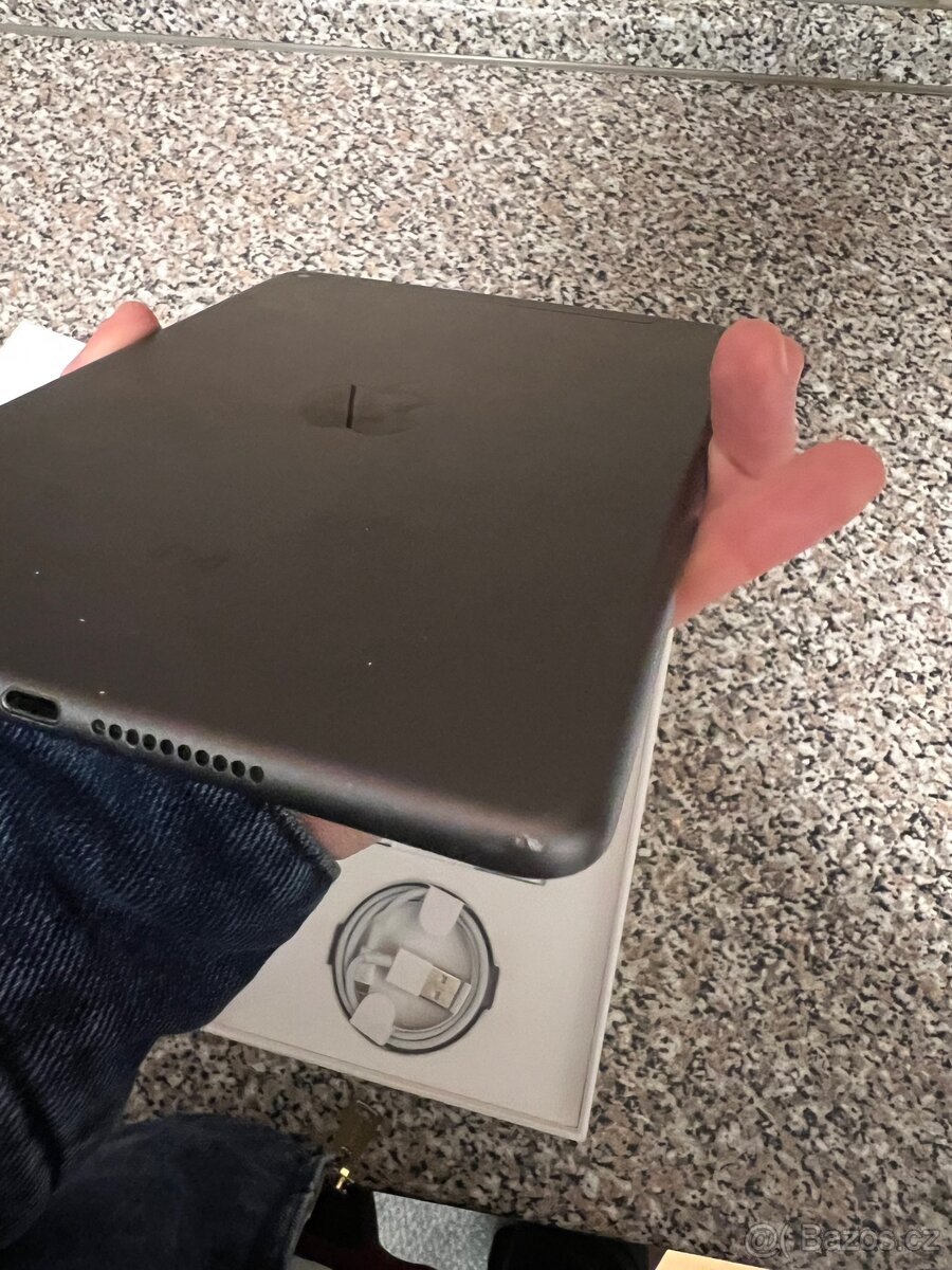 iPad mini 5 (64 GB) Wi-Fi + Cellular - 8