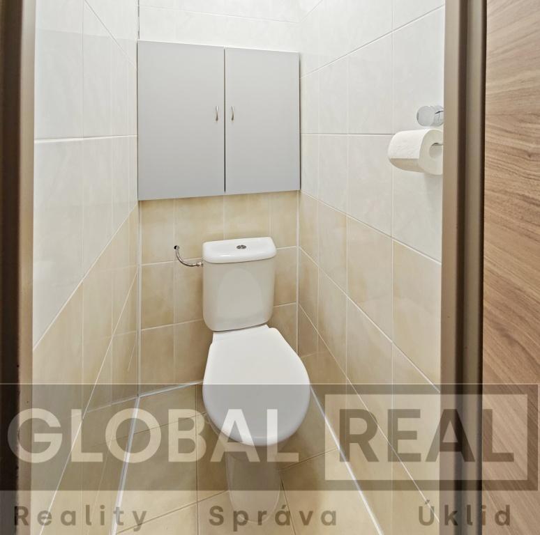 Pronájem bytu 1+1 blízko centra Jihlavy - 8