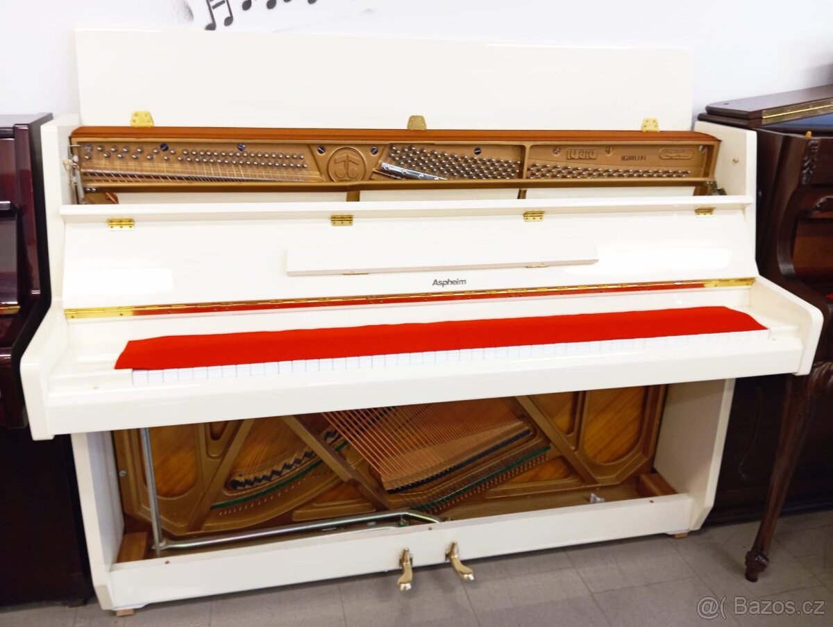 Aspheim (Hyundai)/lesk/-Dovoz i na Štědrý den 24.12. - 8