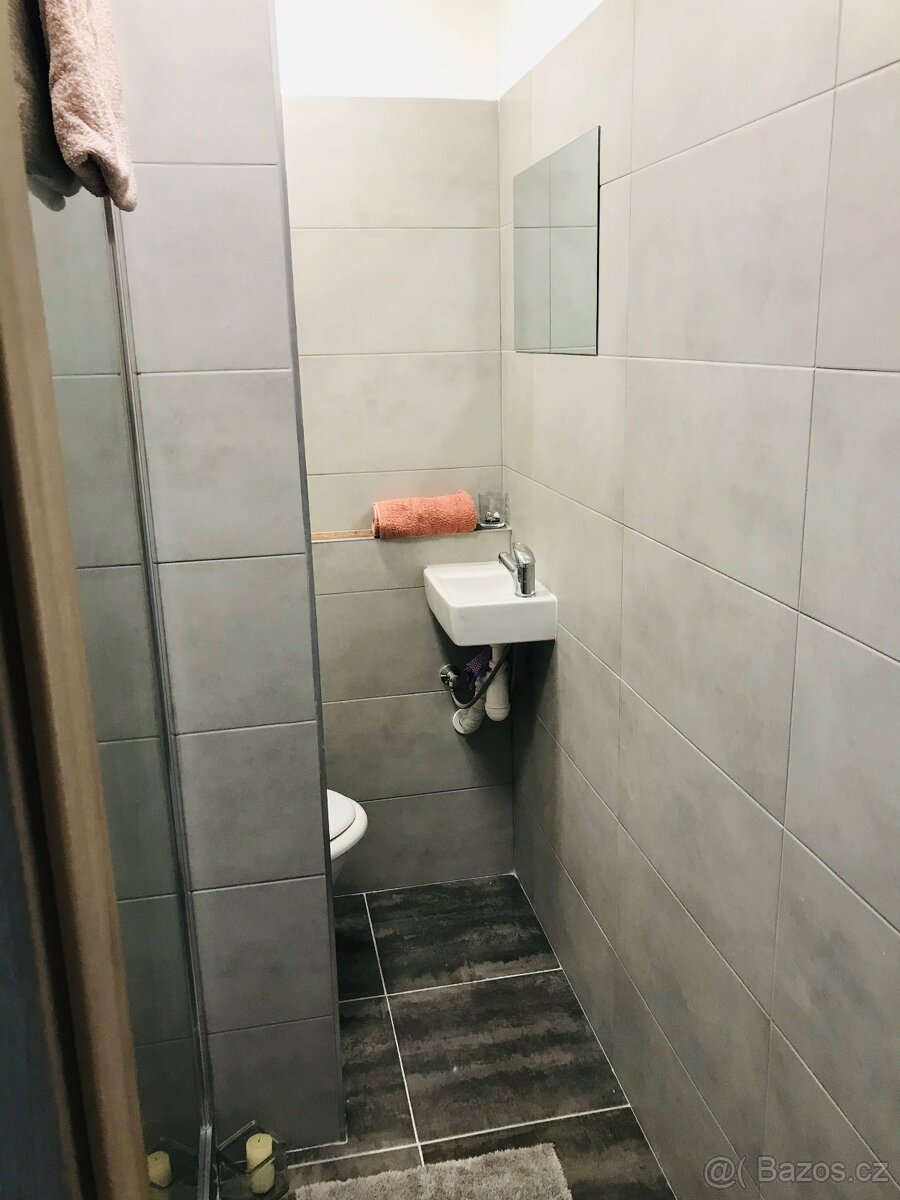 Pronájem 1+1 byt 40 m2 Strakonice - 8