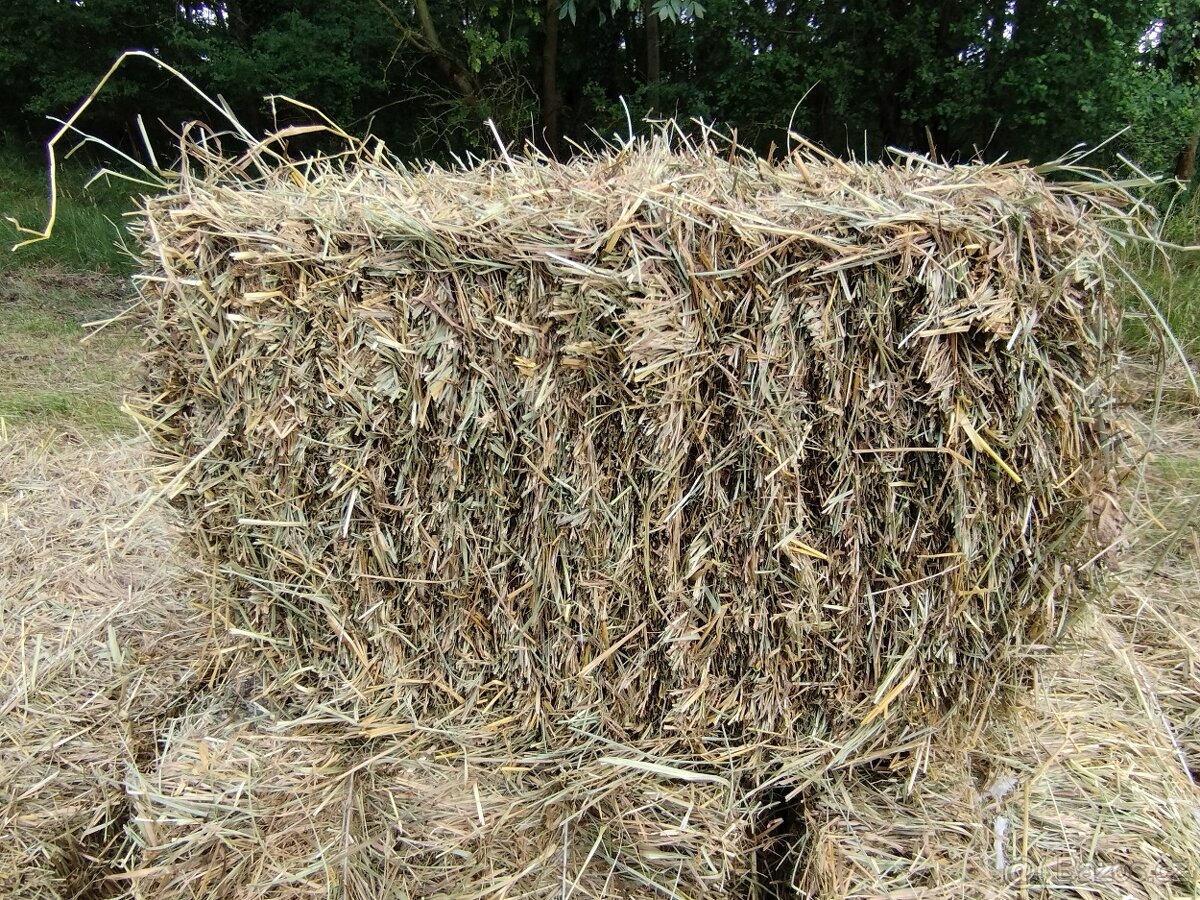 Prodám malé hranaté balíky lučního sena - 8