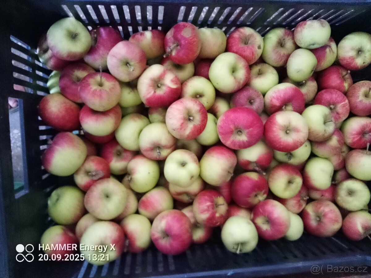 Jablka bio - 8