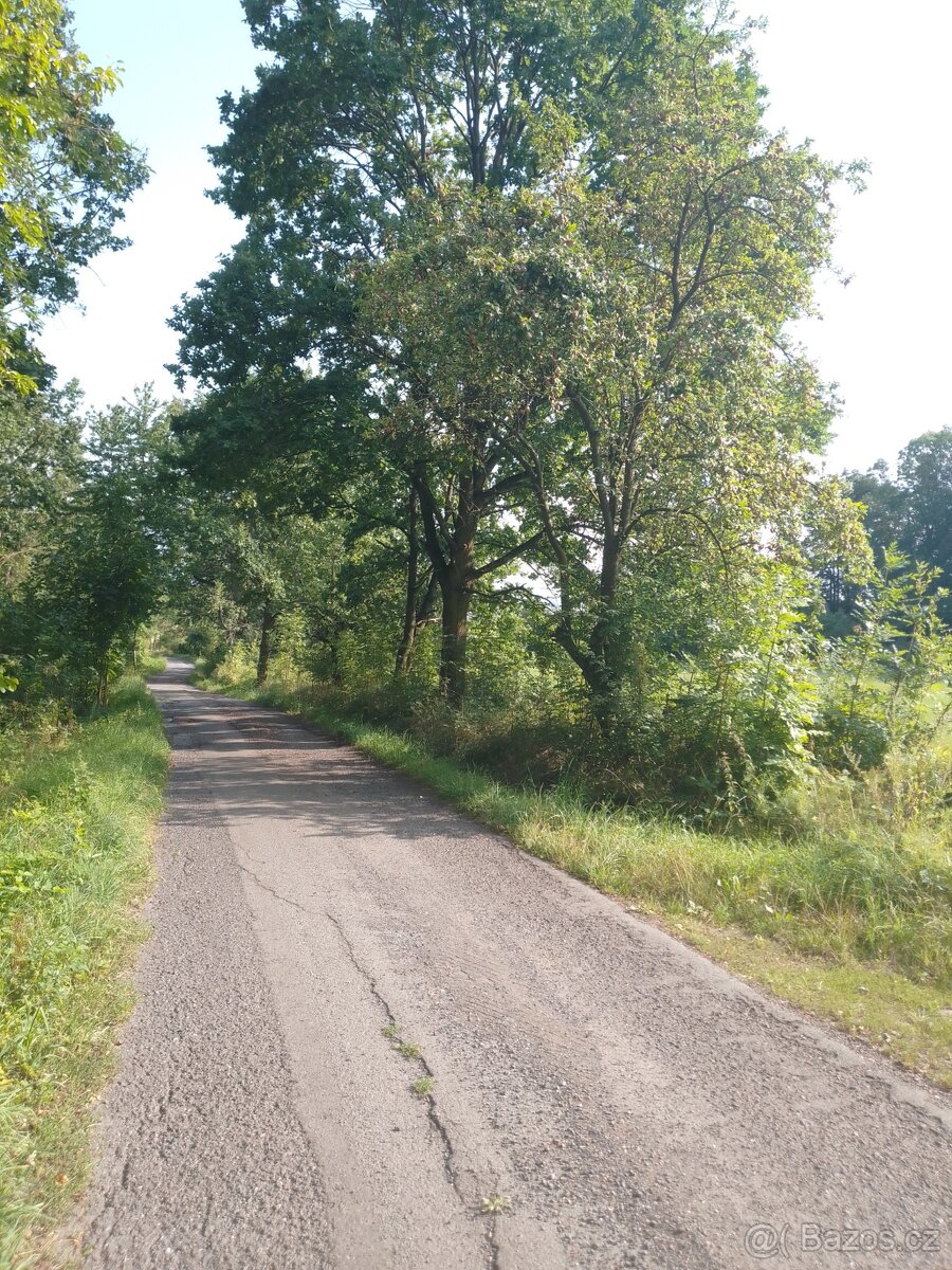 Krásný pozemek v luxusní přírodě. Neváhejte: Les, louka.... - 8