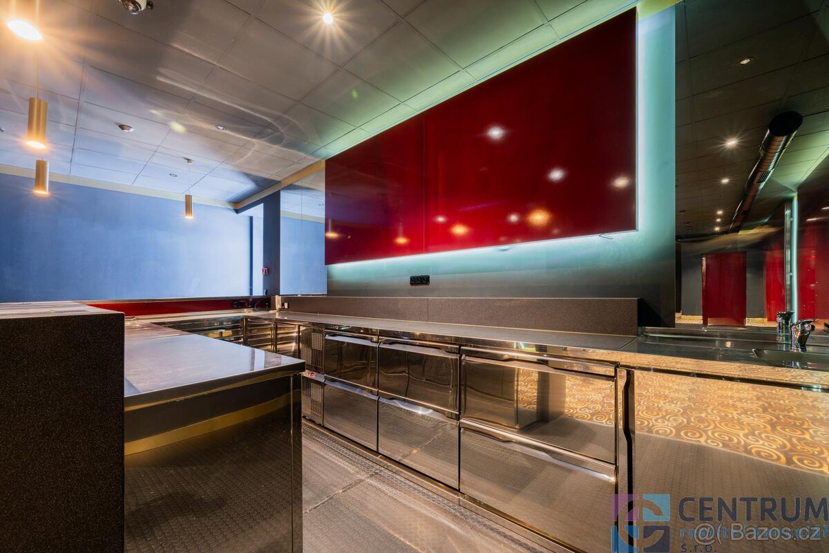 Pronájem komerčních prostor 264m2 - 8