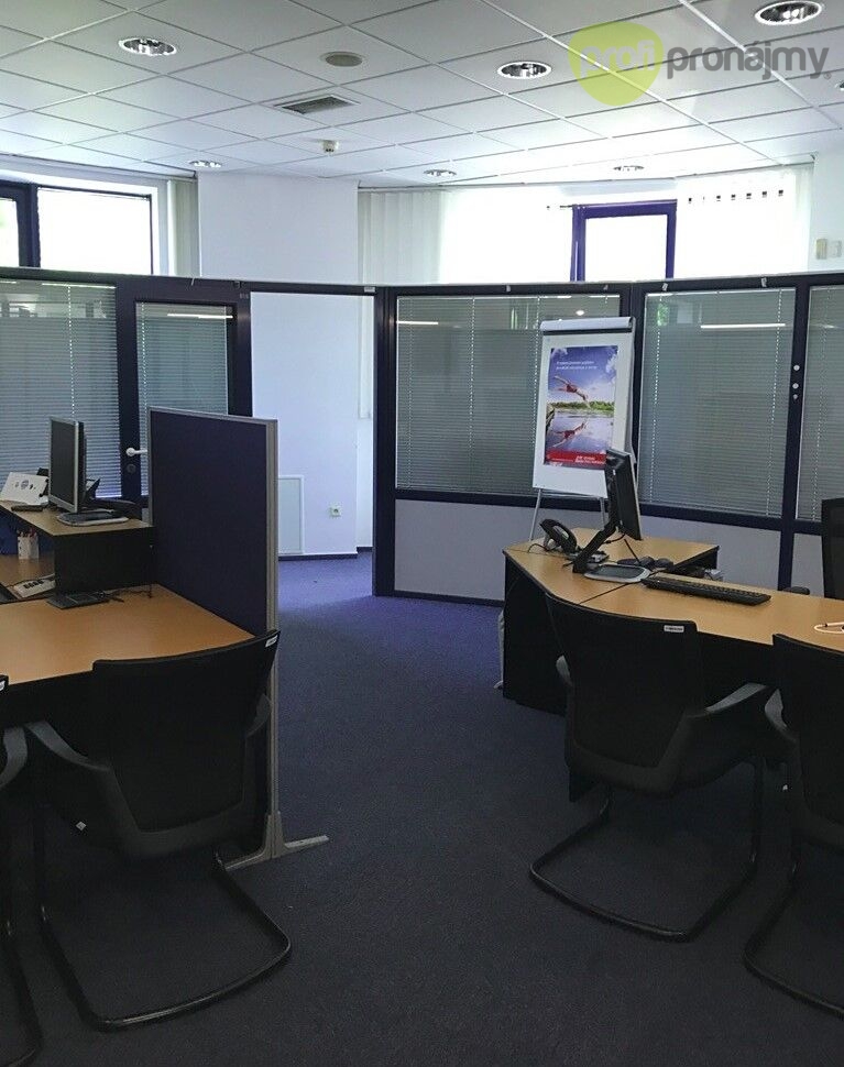 Pronájem obchodního prostoru 423 m² - 8