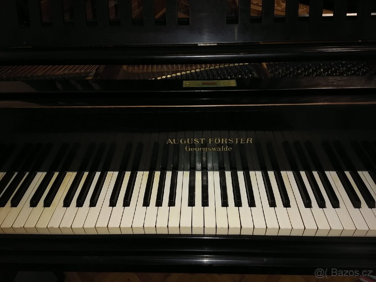 Klavírní křídlo - 8