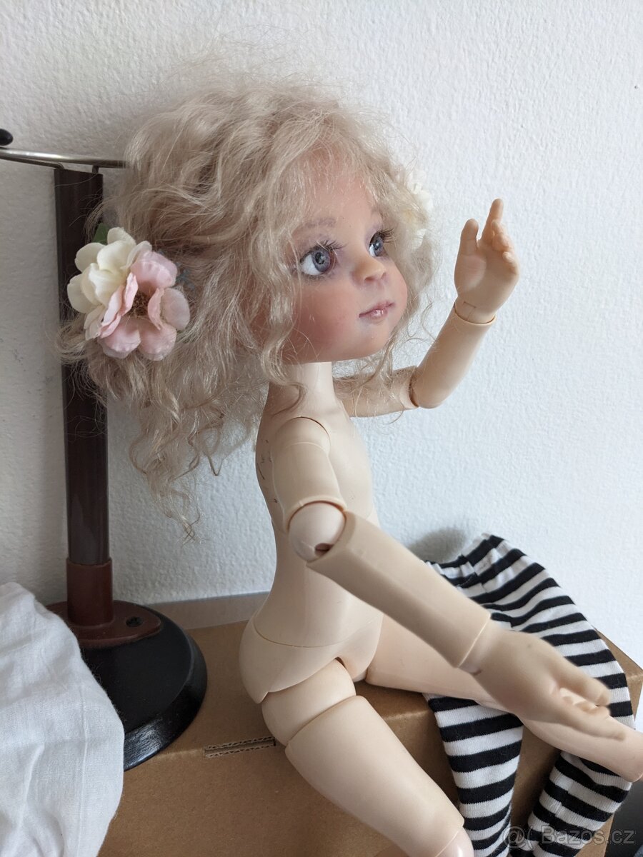 Panenka vícekloubová. - 8