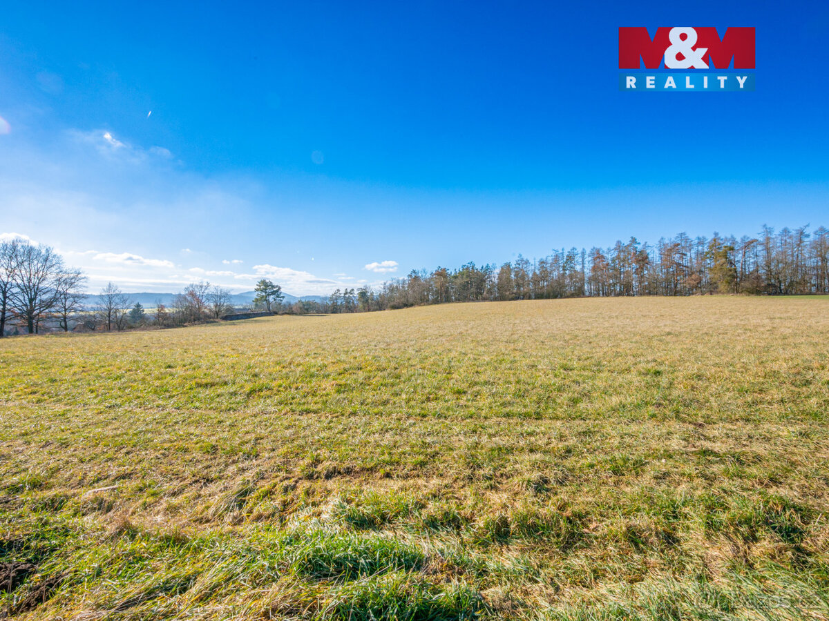 Prodej louky, 11767 m², Benešov - 8