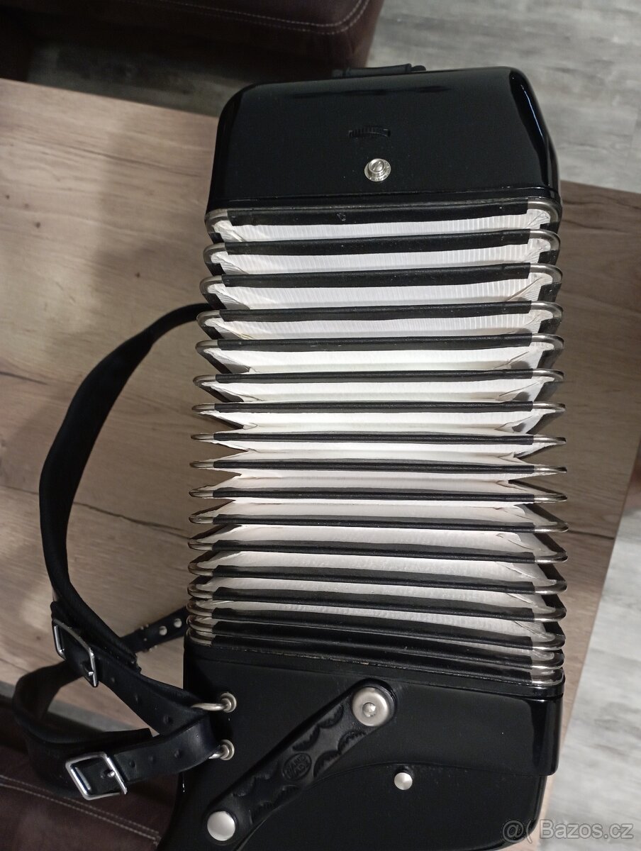 Delicia Carmen lll,96 bas - 8