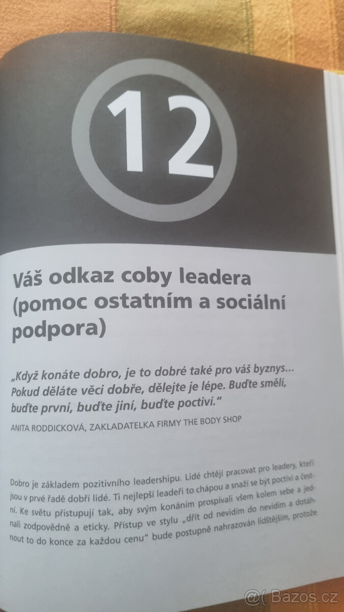 Pozitivní leader - 8